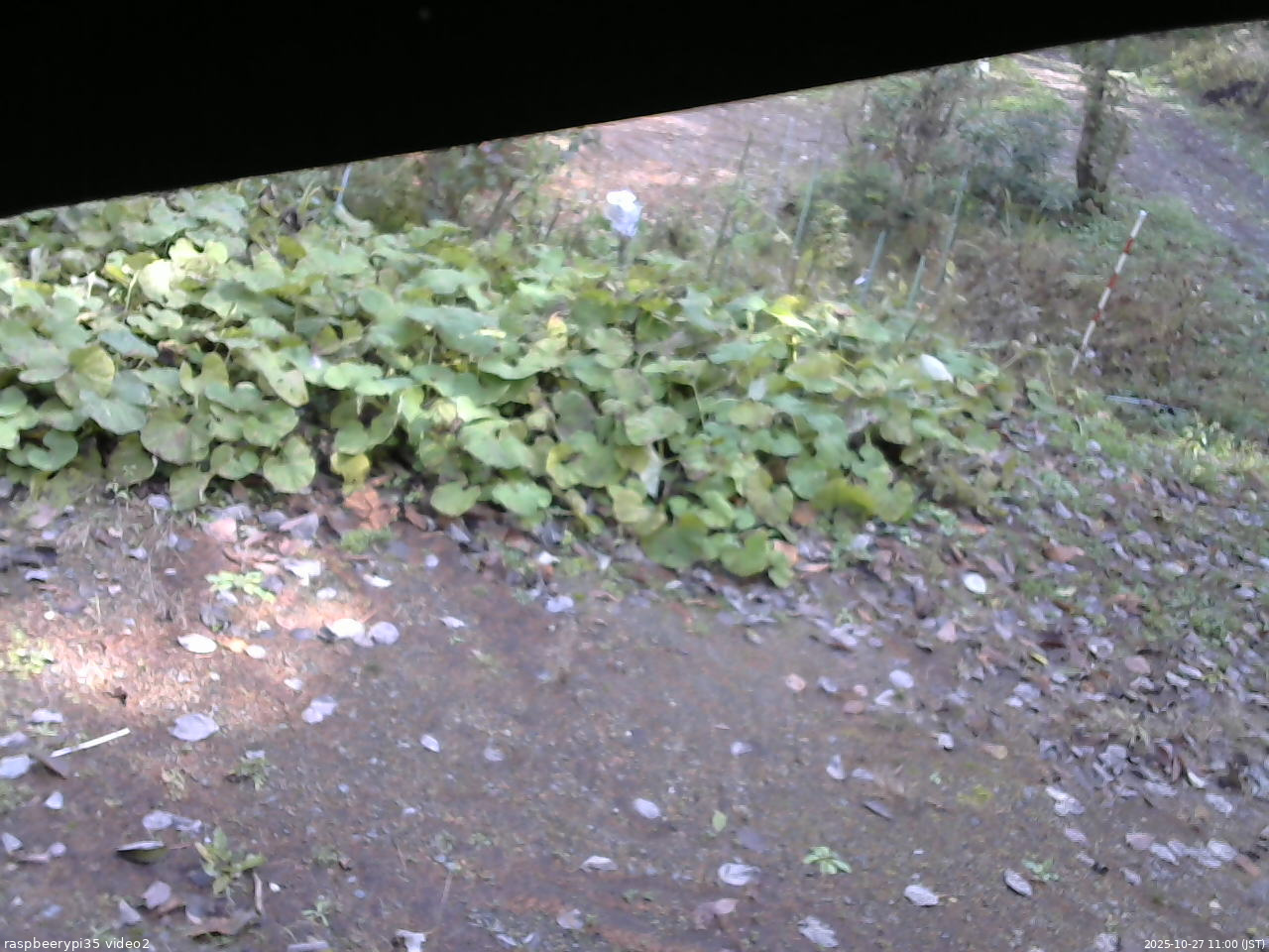 長野県菅平高原 ゆたか山荘 駐車場 2025/10/27 11:00