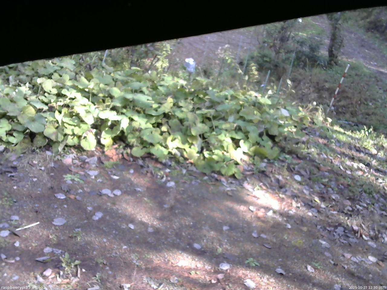 長野県菅平高原 ゆたか山荘 駐車場 2025/10/27 12:30