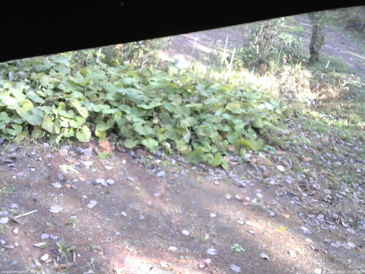長野県菅平高原 ゆたか山荘 駐車場 2025/10/27 13:00