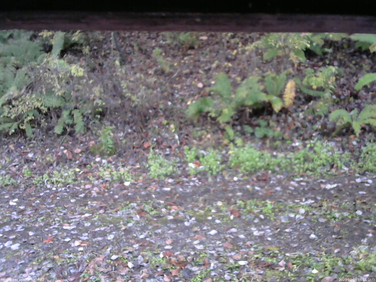 長野県菅平高原 ゆたか山荘 南側 2025/10/28 06:15