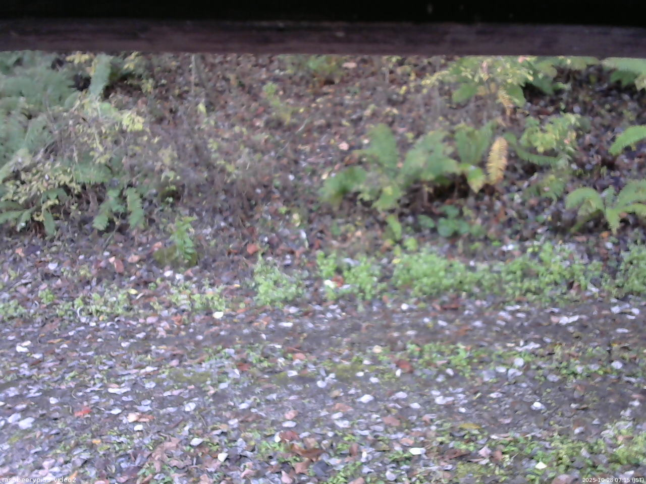 長野県菅平高原 ゆたか山荘 南側 2025/10/28 07:15