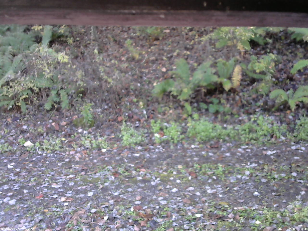 長野県菅平高原 ゆたか山荘 南側 2025/10/28 08:15
