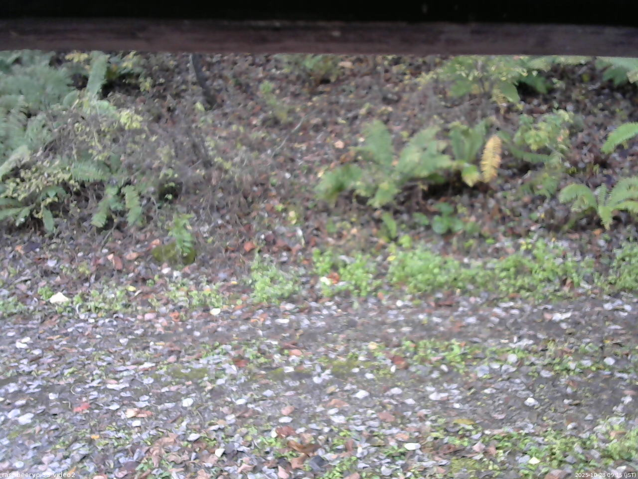 長野県菅平高原 ゆたか山荘 南側 2025/10/28 09:15