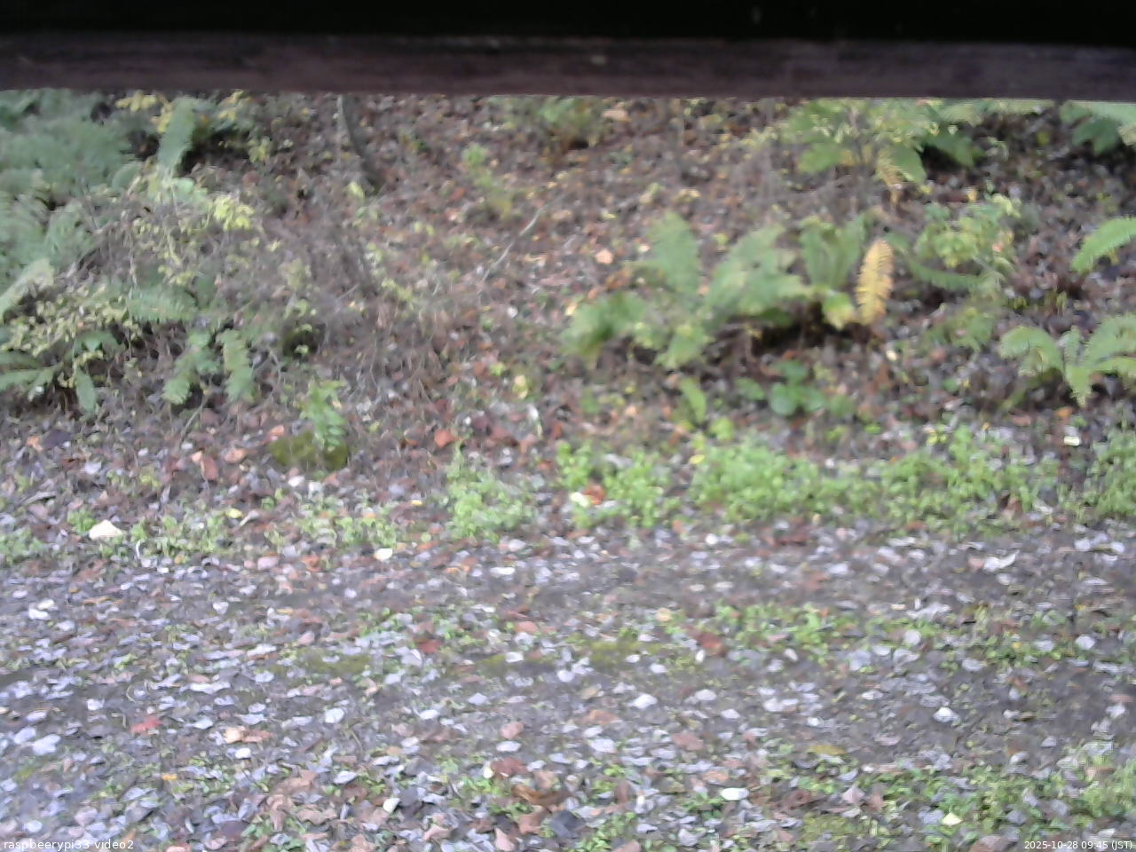 長野県菅平高原 ゆたか山荘 南側 2025/10/28 09:45