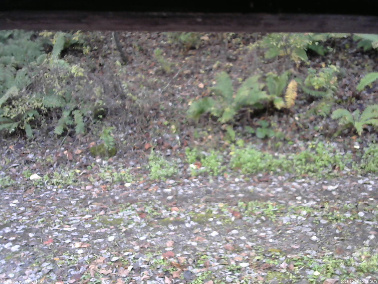 長野県菅平高原 ゆたか山荘 南側 2025/10/28 10:15