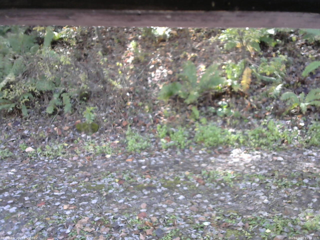 長野県菅平高原 ゆたか山荘 南側 2025/10/28 11:30