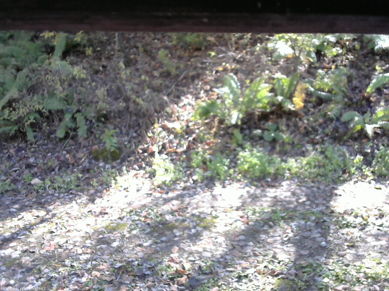 長野県菅平高原 ゆたか山荘 南側 2025/10/28 12:45