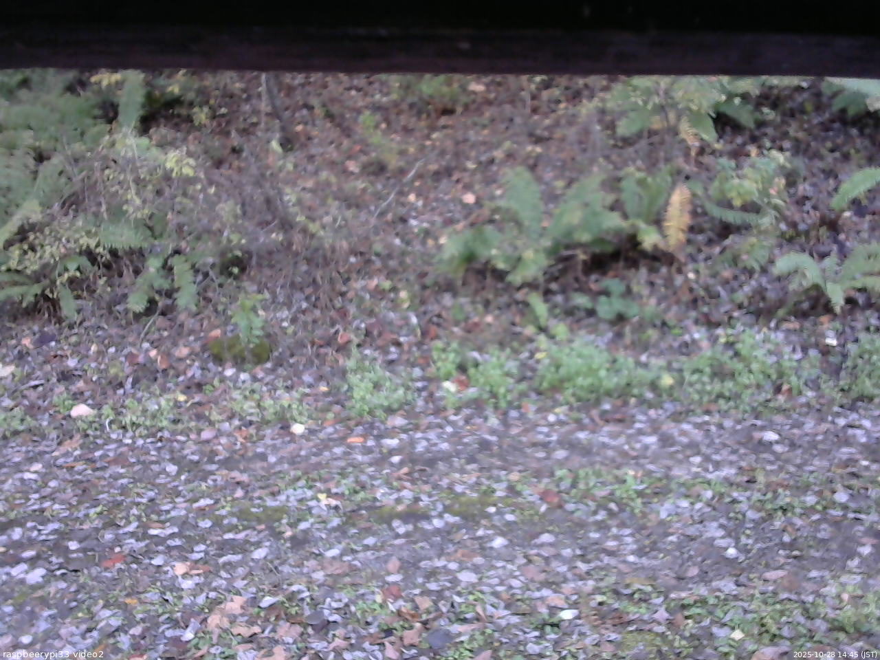 長野県菅平高原 ゆたか山荘 南側 2025/10/28 14:45