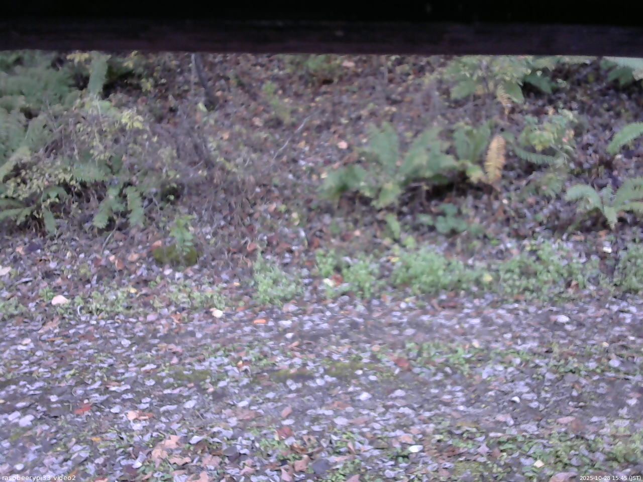 長野県菅平高原 ゆたか山荘 南側 2025/10/28 15:45