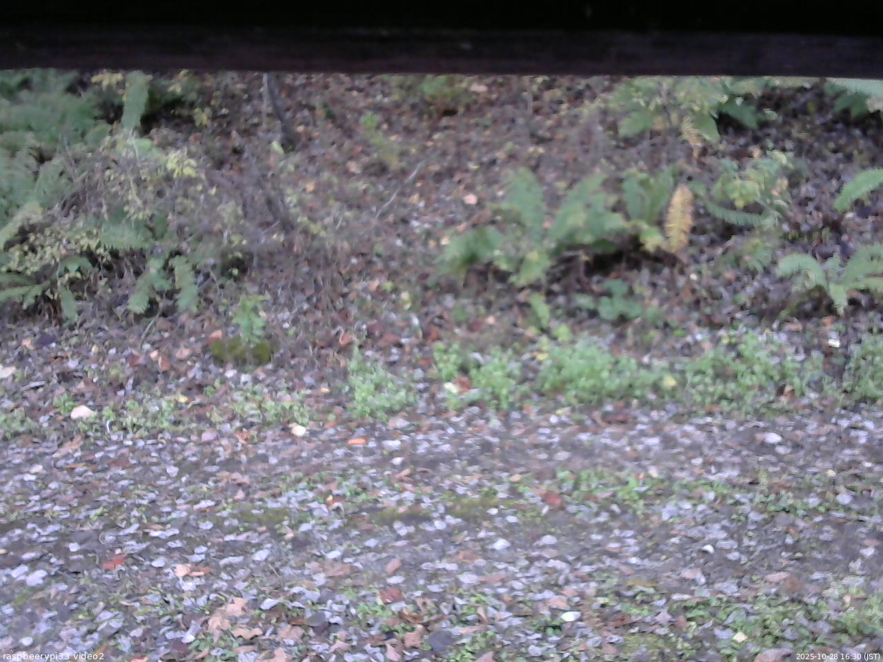 長野県菅平高原 ゆたか山荘 南側 2025/10/28 16:30
