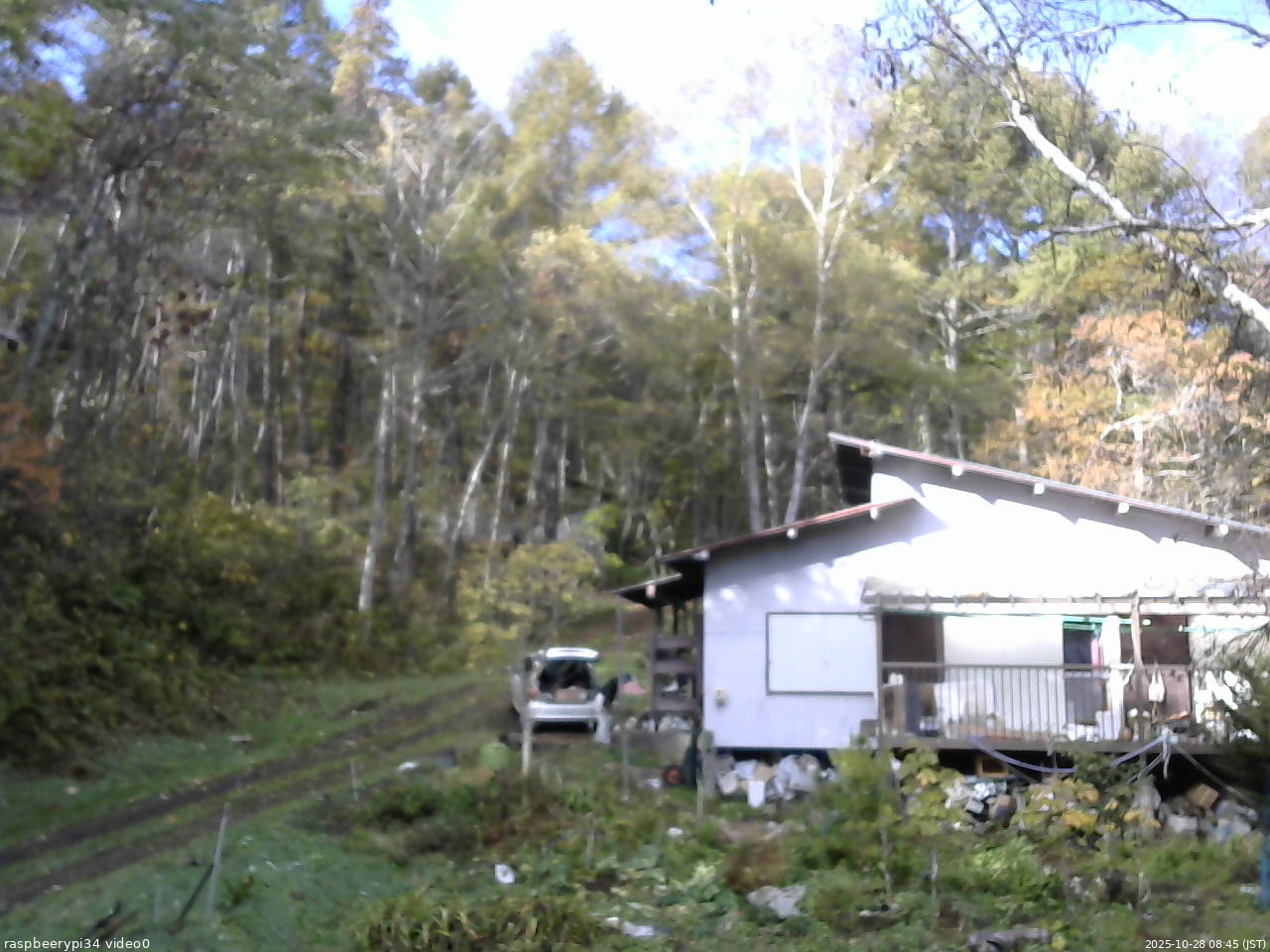 長野県菅平高原 ゆたか山荘 西側(坂上) 2025/10/28 08:45