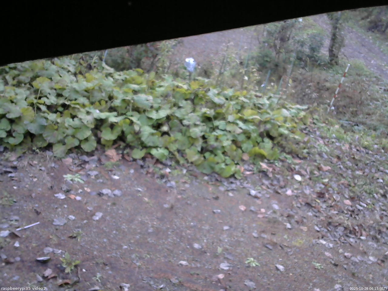 長野県菅平高原 ゆたか山荘 駐車場 2025/10/28 06:15