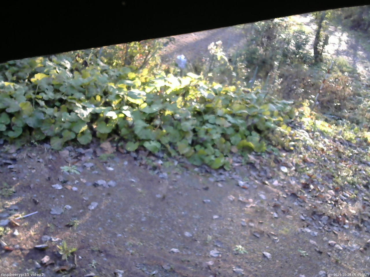 長野県菅平高原 ゆたか山荘 駐車場 2025/10/28 06:45