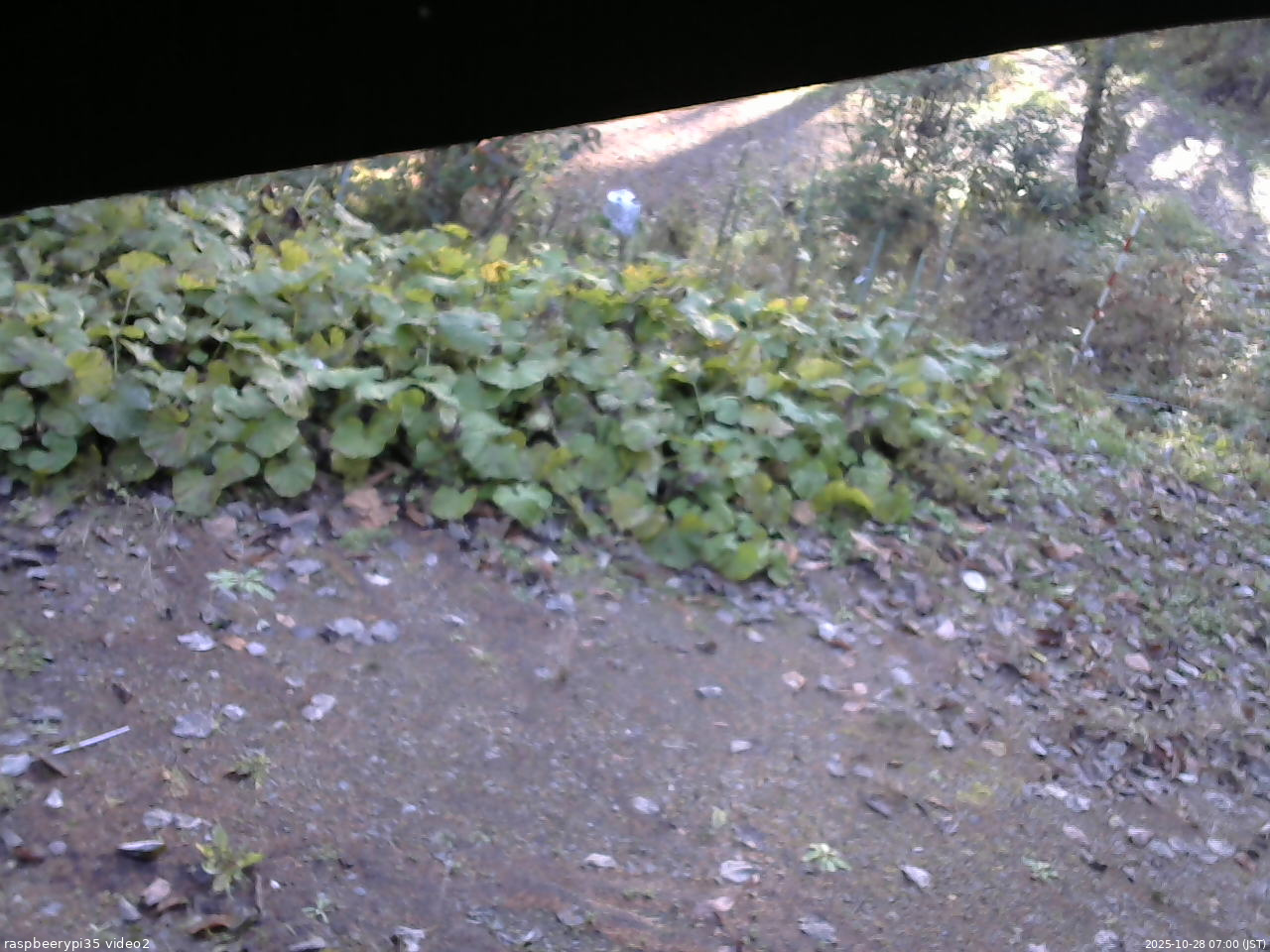 長野県菅平高原 ゆたか山荘 駐車場 2025/10/28 07:00