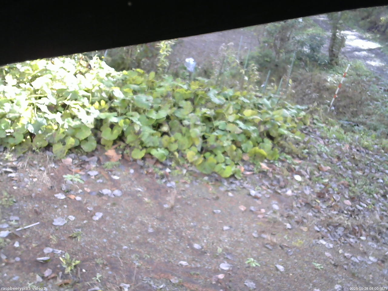 長野県菅平高原 ゆたか山荘 駐車場 2025/10/28 08:00