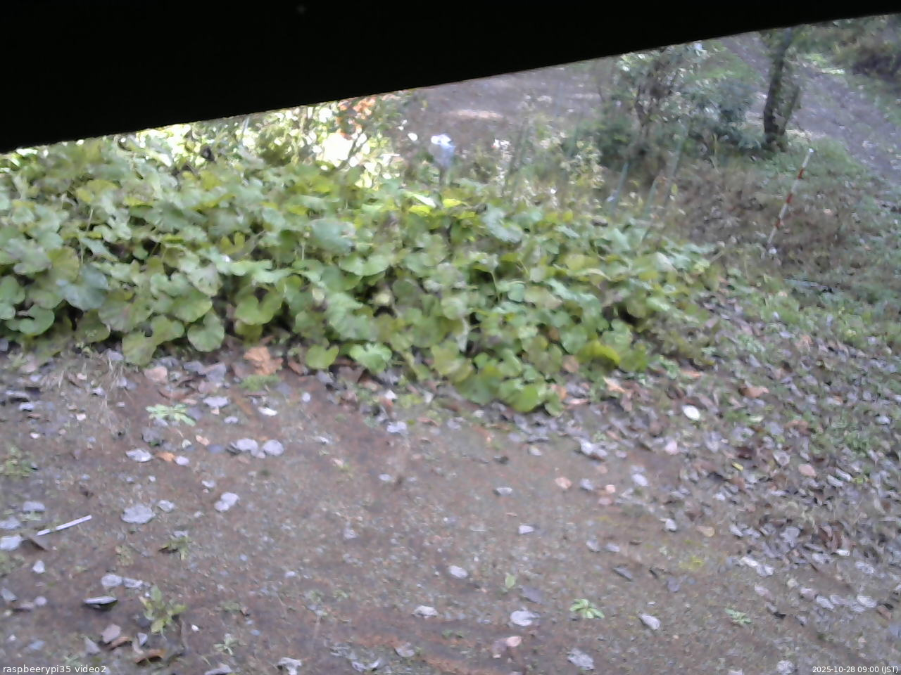 長野県菅平高原 ゆたか山荘 駐車場 2025/10/28 09:00