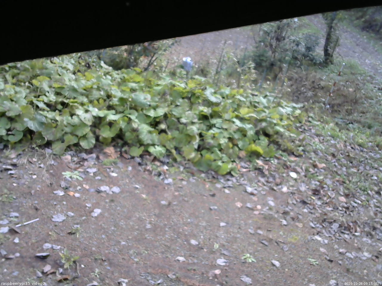 長野県菅平高原 ゆたか山荘 駐車場 2025/10/28 09:15