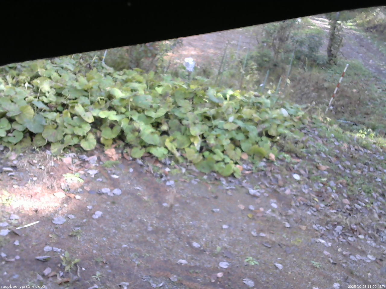 長野県菅平高原 ゆたか山荘 駐車場 2025/10/28 11:00
