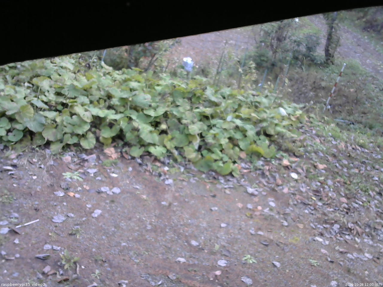 長野県菅平高原 ゆたか山荘 駐車場 2025/10/28 12:00