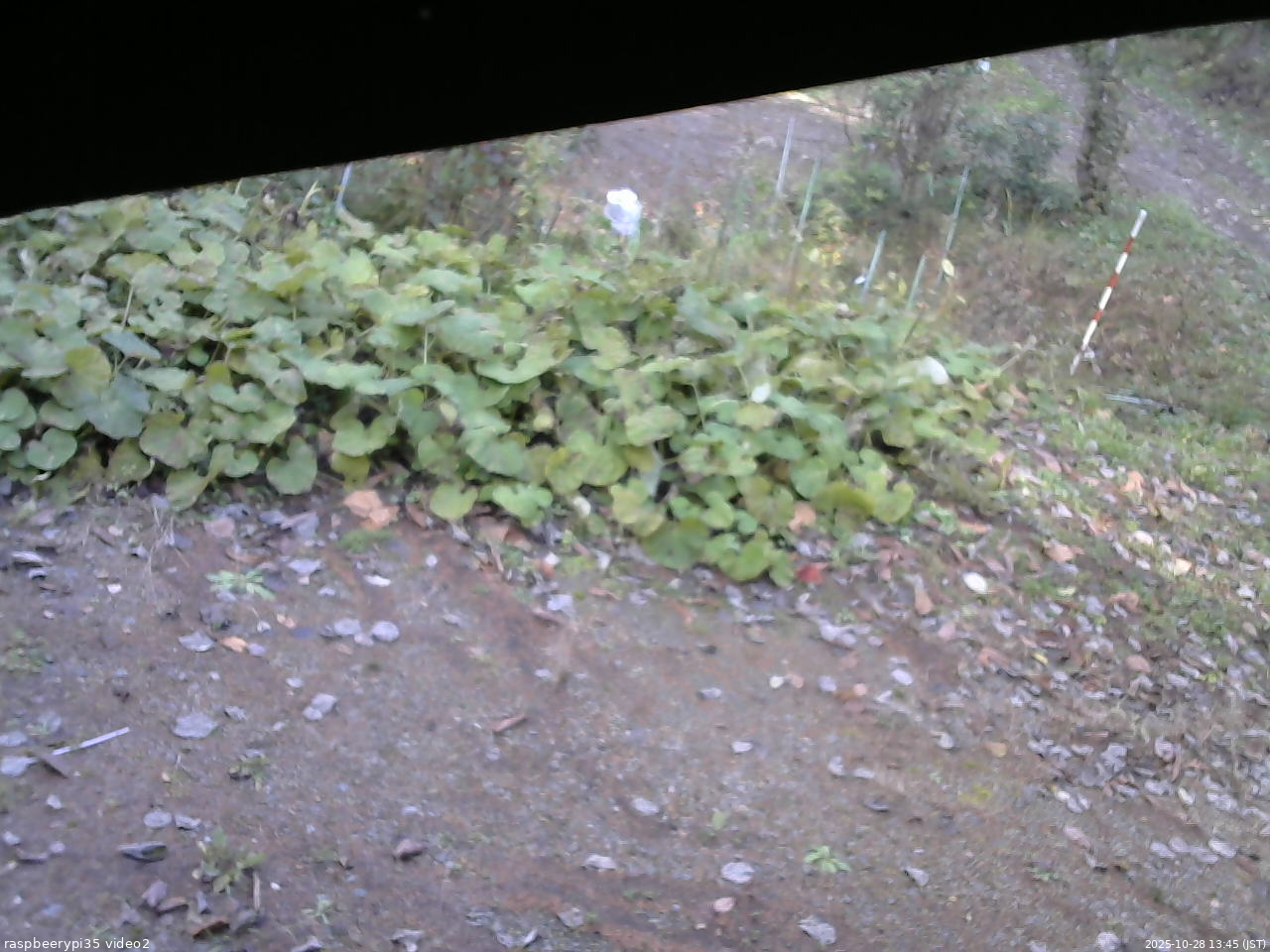長野県菅平高原 ゆたか山荘 駐車場 2025/10/28 13:45