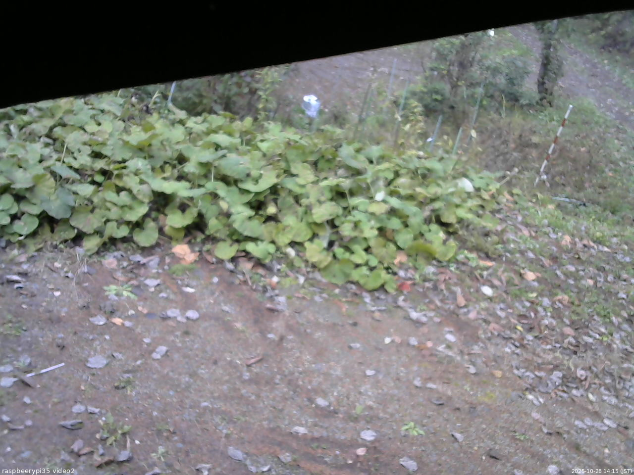 長野県菅平高原 ゆたか山荘 駐車場 2025/10/28 14:15