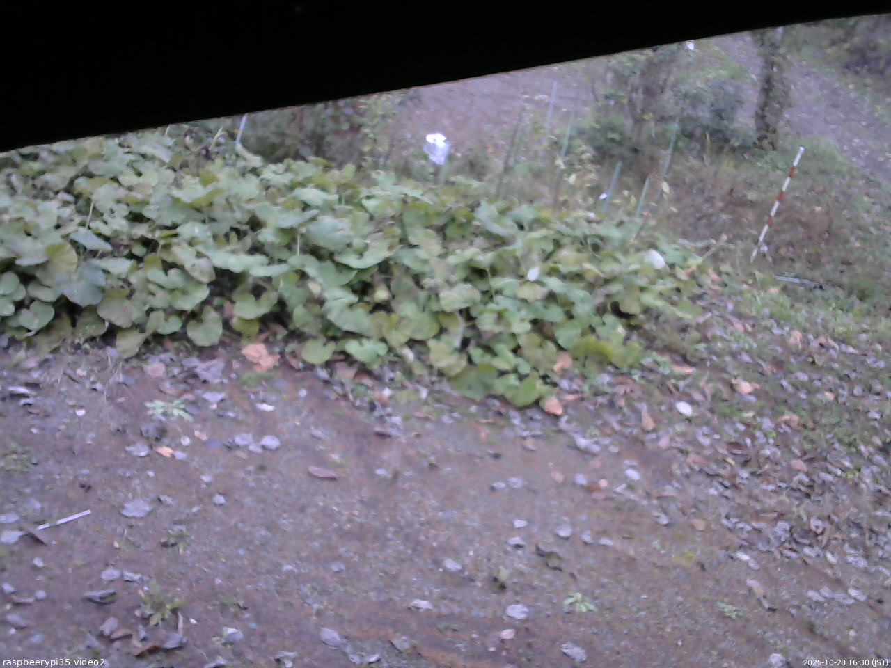 長野県菅平高原 ゆたか山荘 駐車場 2025/10/28 16:30