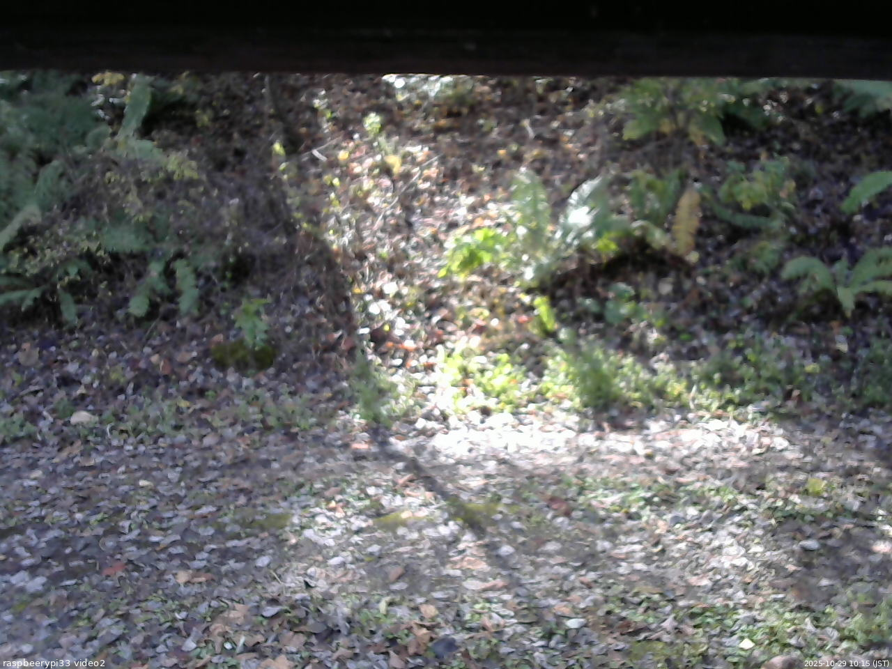 長野県菅平高原 ゆたか山荘 南側 2025/10/29 10:15