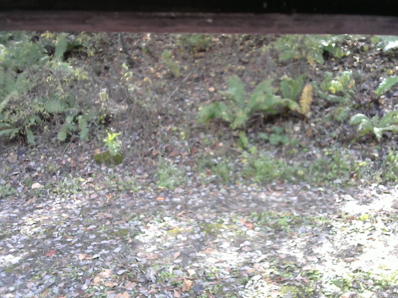 長野県菅平高原 ゆたか山荘 南側 2025/10/29 12:00