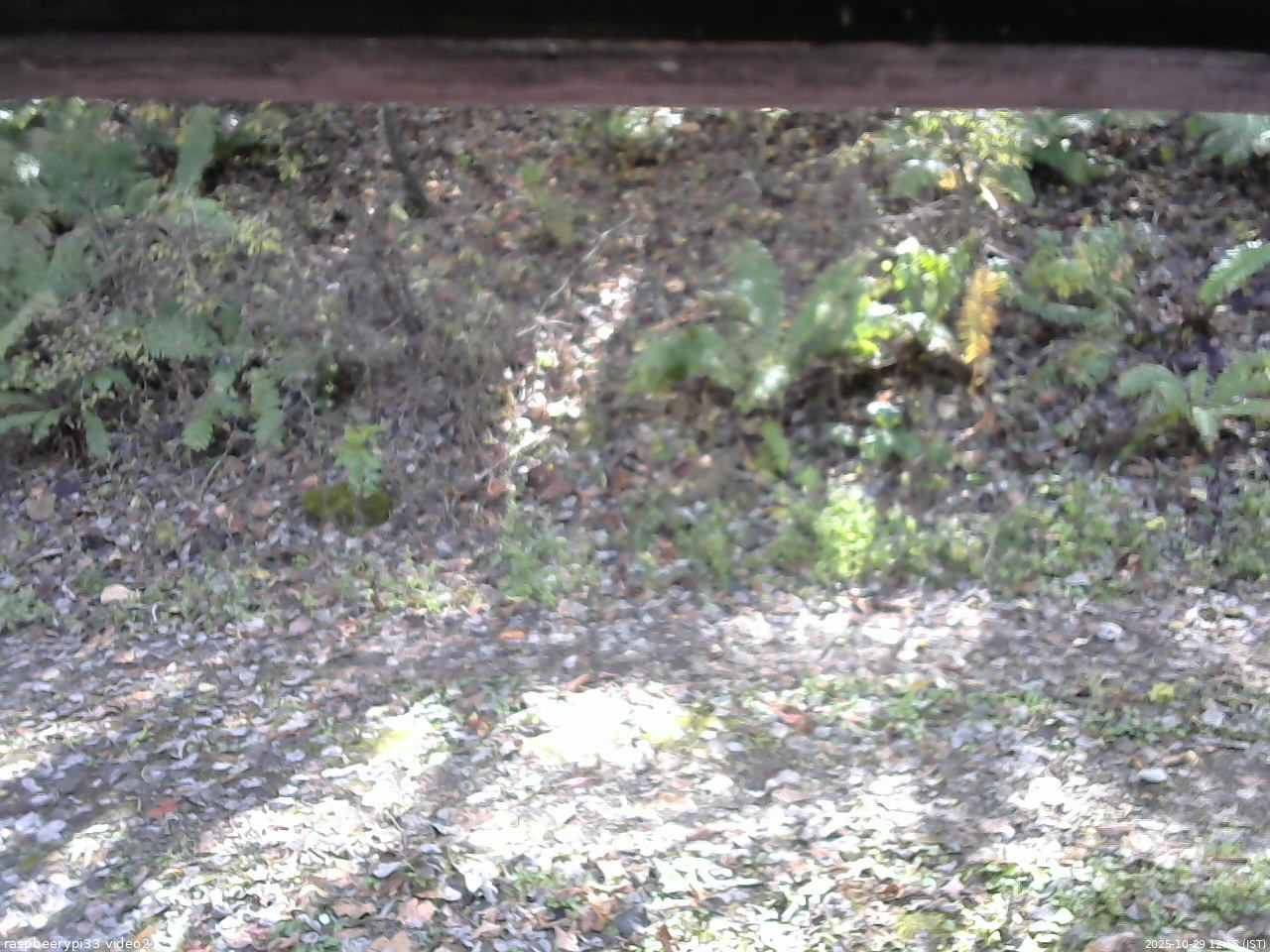 長野県菅平高原 ゆたか山荘 南側 2025/10/29 12:15
