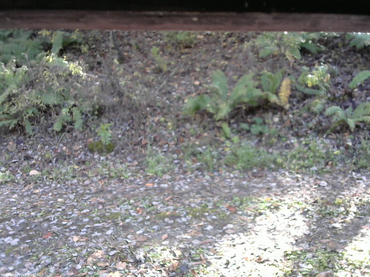 長野県菅平高原 ゆたか山荘 南側 2025/10/29 13:00