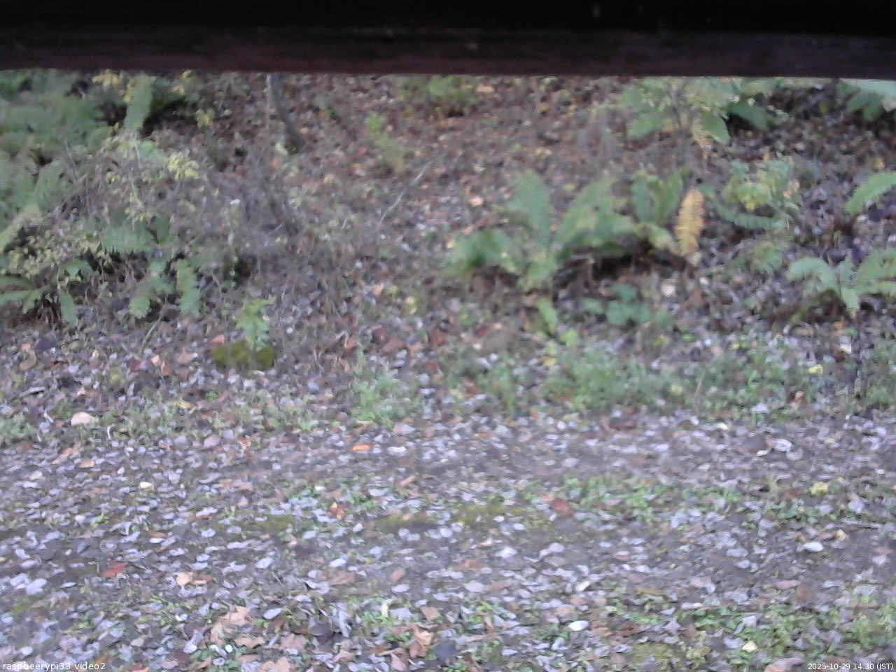 長野県菅平高原 ゆたか山荘 南側 2025/10/29 14:30