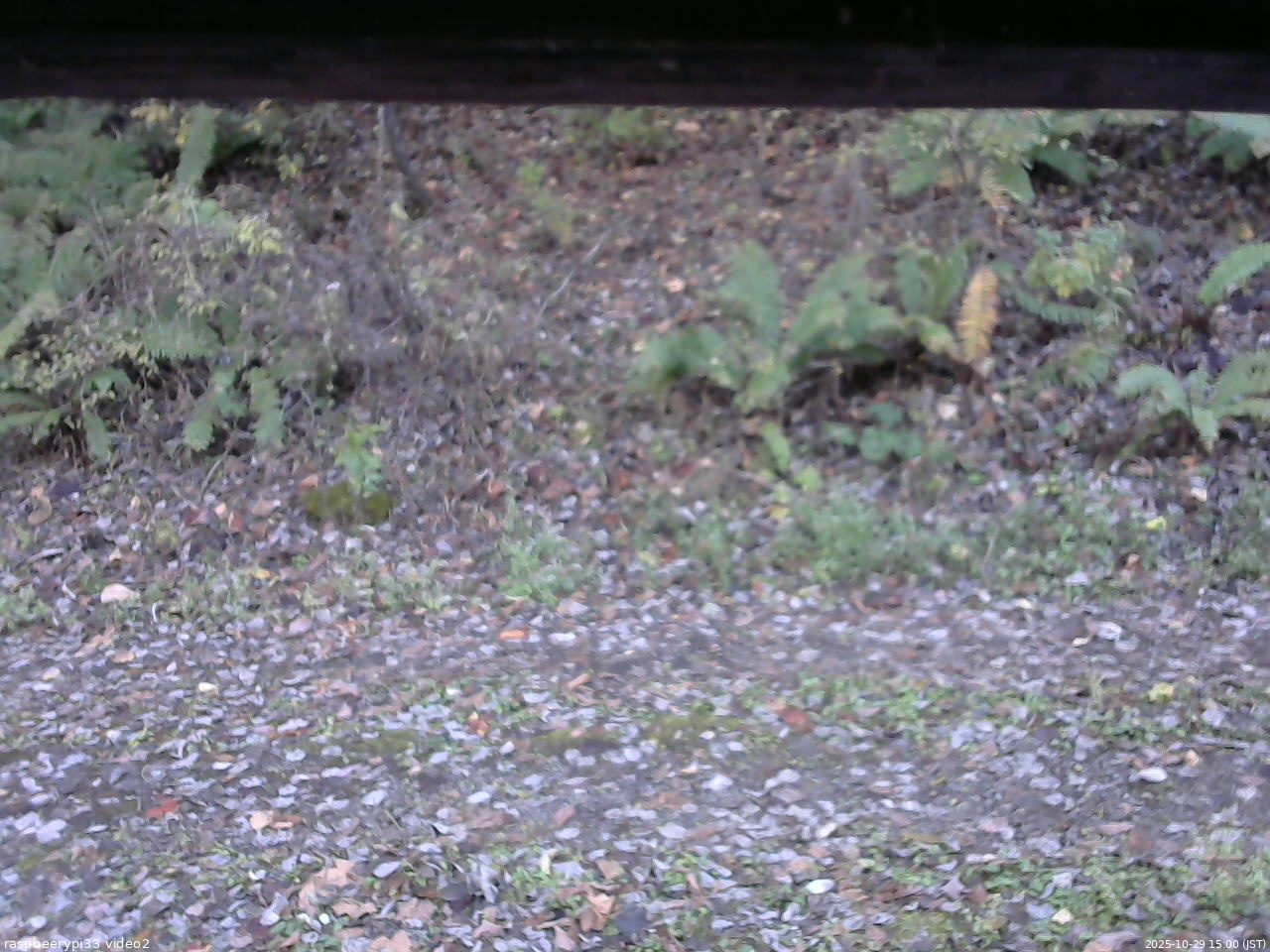 長野県菅平高原 ゆたか山荘 南側 2025/10/29 15:00