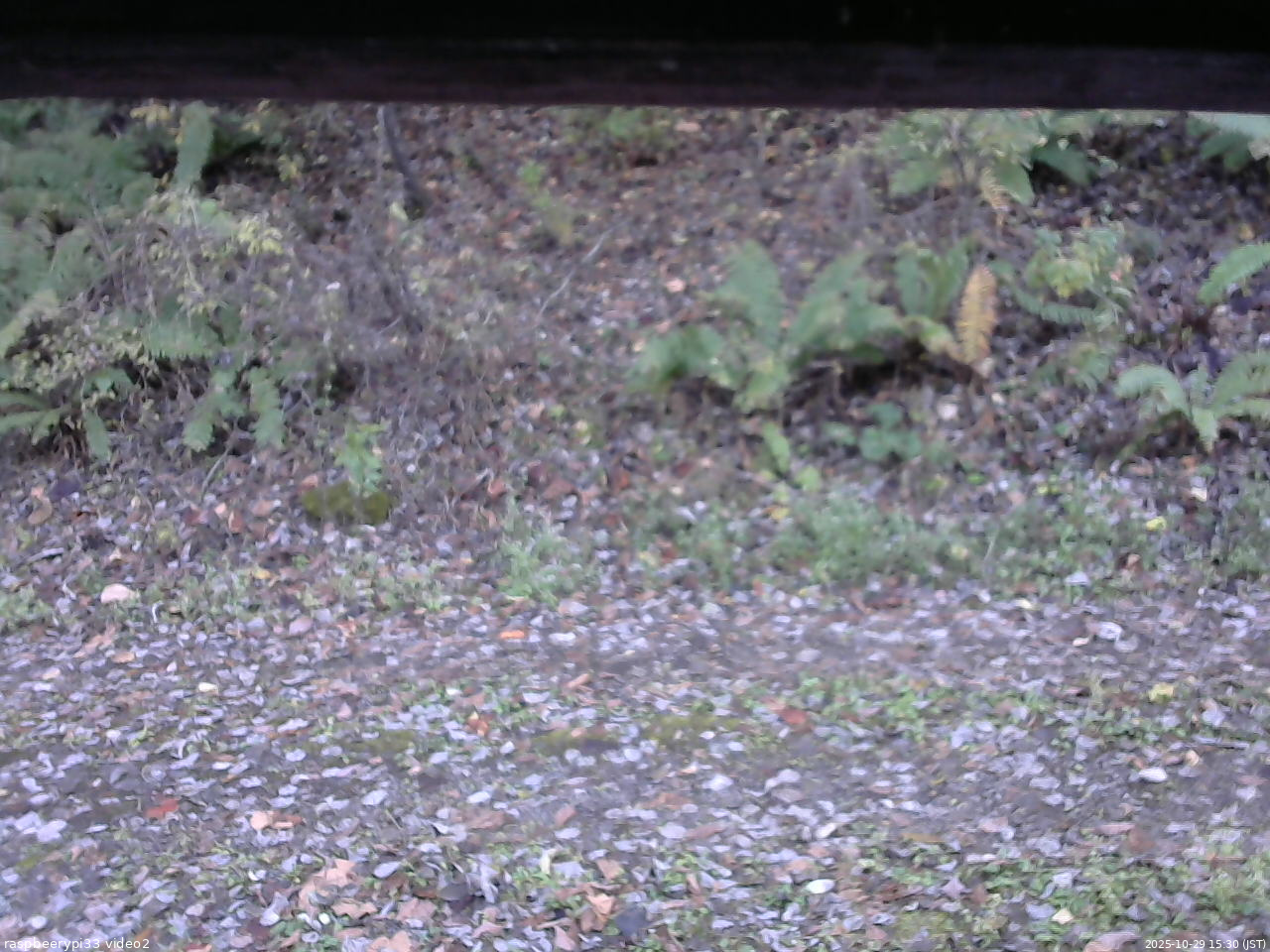 長野県菅平高原 ゆたか山荘 南側 2025/10/29 15:30