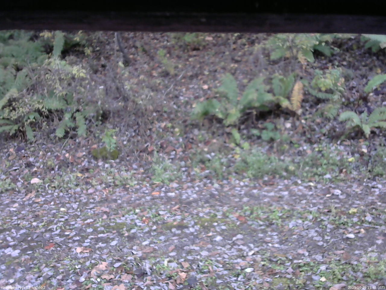 長野県菅平高原 ゆたか山荘 南側 2025/10/29 15:45