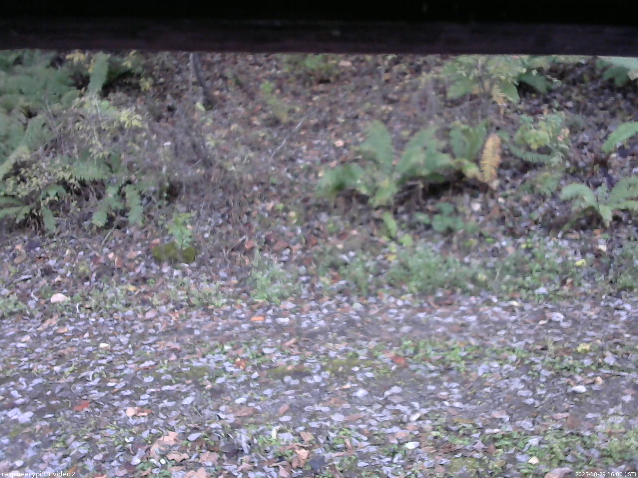 長野県菅平高原 ゆたか山荘 南側 2025/10/29 16:00