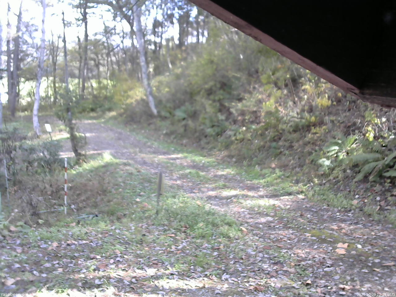 長野県菅平高原 ゆたか山荘 東側(坂下) 2025/10/29 12:15
