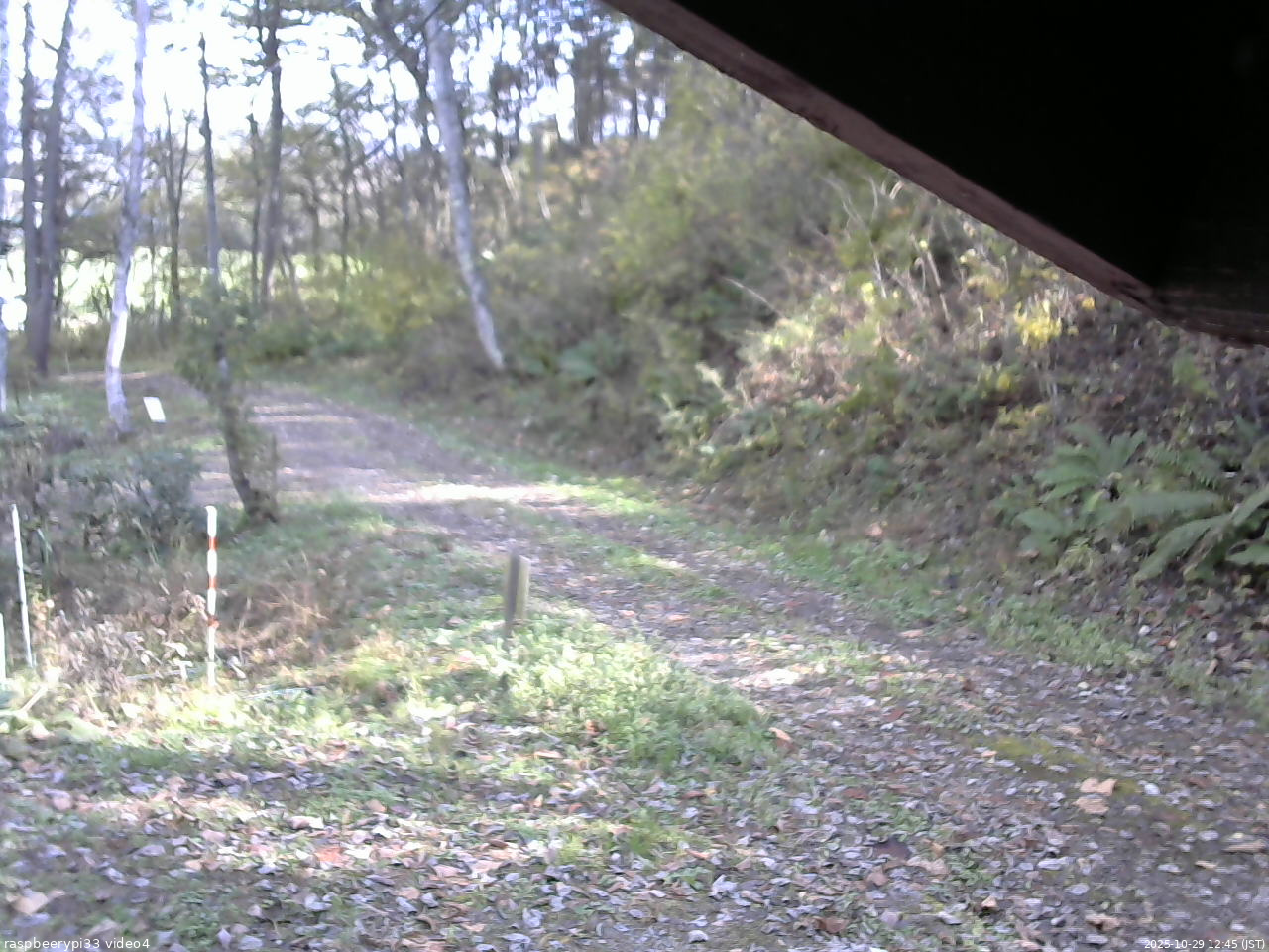 長野県菅平高原 ゆたか山荘 東側(坂下) 2025/10/29 12:45