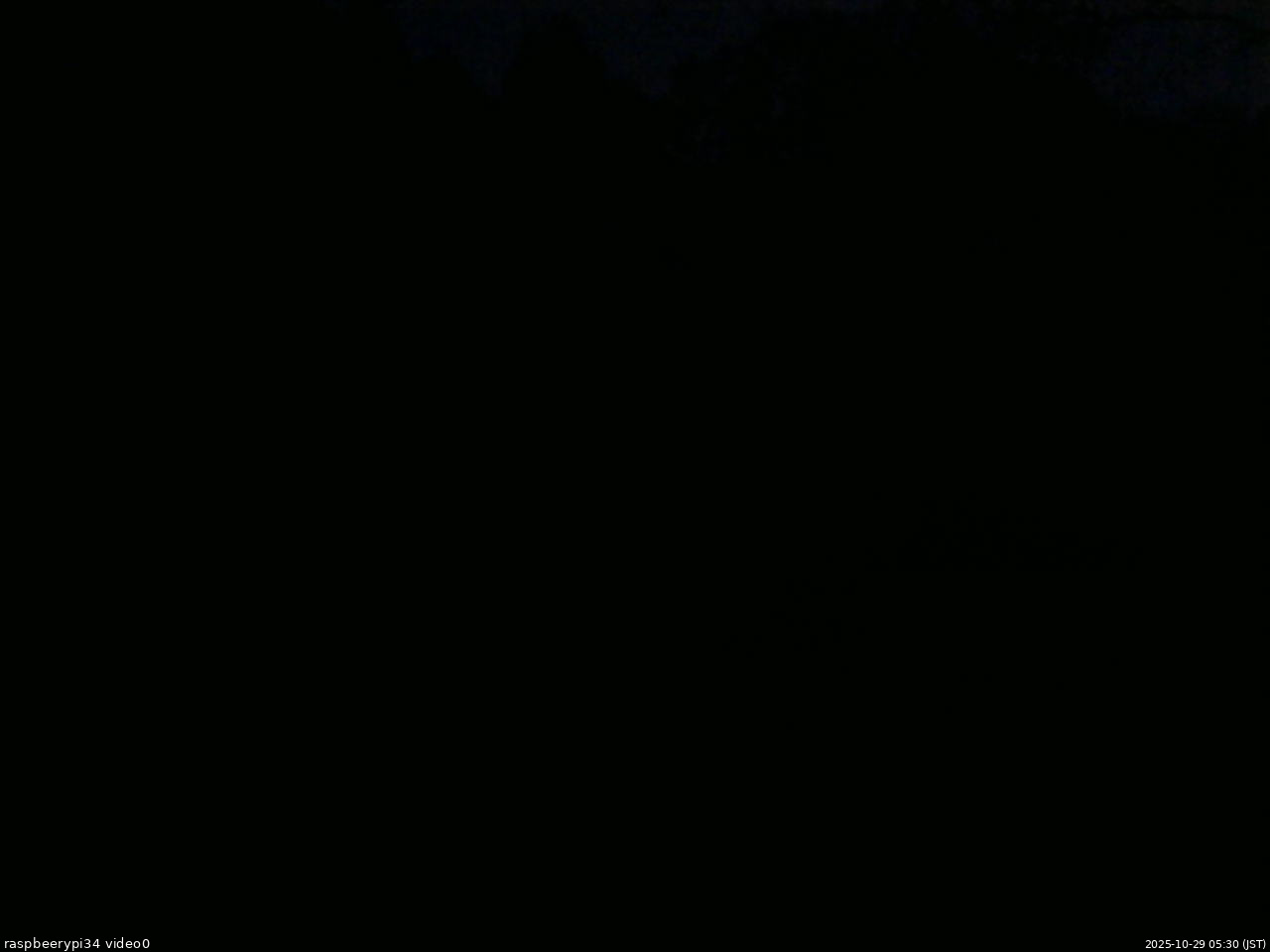 長野県菅平高原 ゆたか山荘 西側(坂上) 2025/10/29 05:30