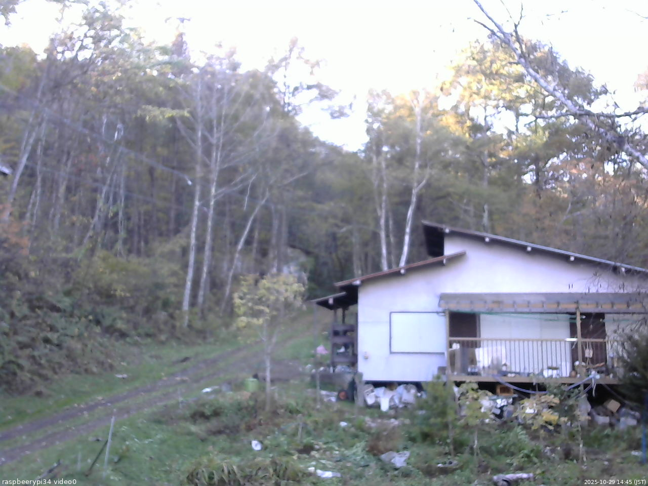 長野県菅平高原 ゆたか山荘 西側(坂上) 2025/10/29 14:45