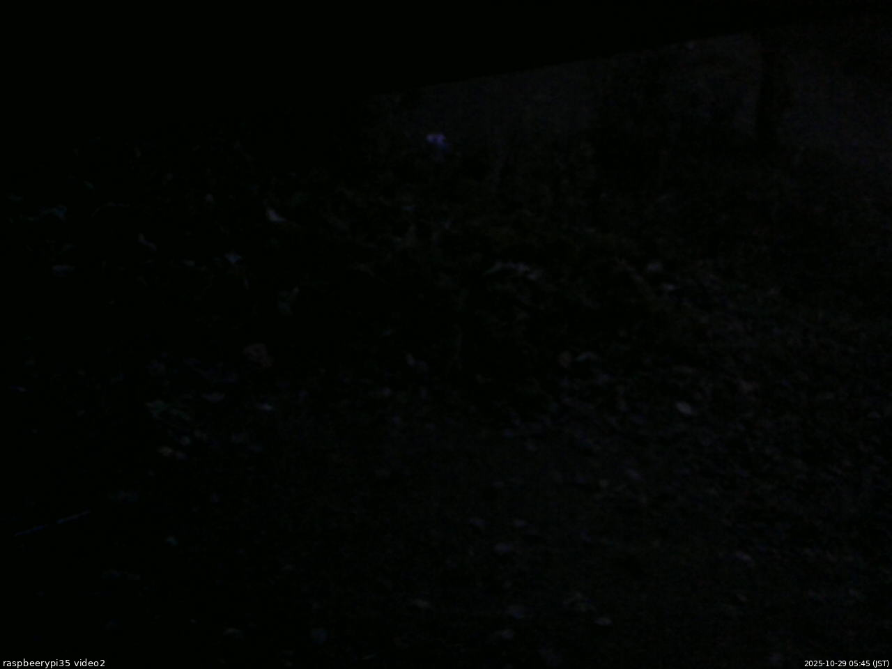 長野県菅平高原 ゆたか山荘 駐車場 2025/10/29 05:45