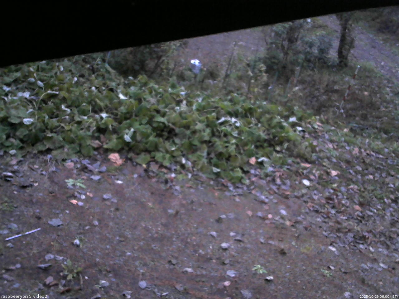 長野県菅平高原 ゆたか山荘 駐車場 2025/10/29 06:00