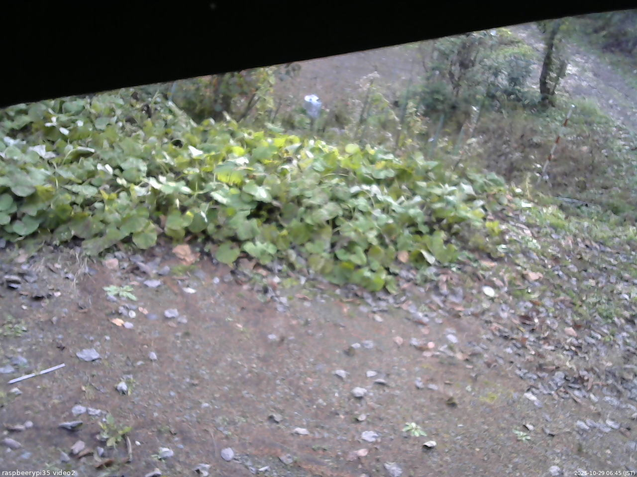 長野県菅平高原 ゆたか山荘 駐車場 2025/10/29 06:45