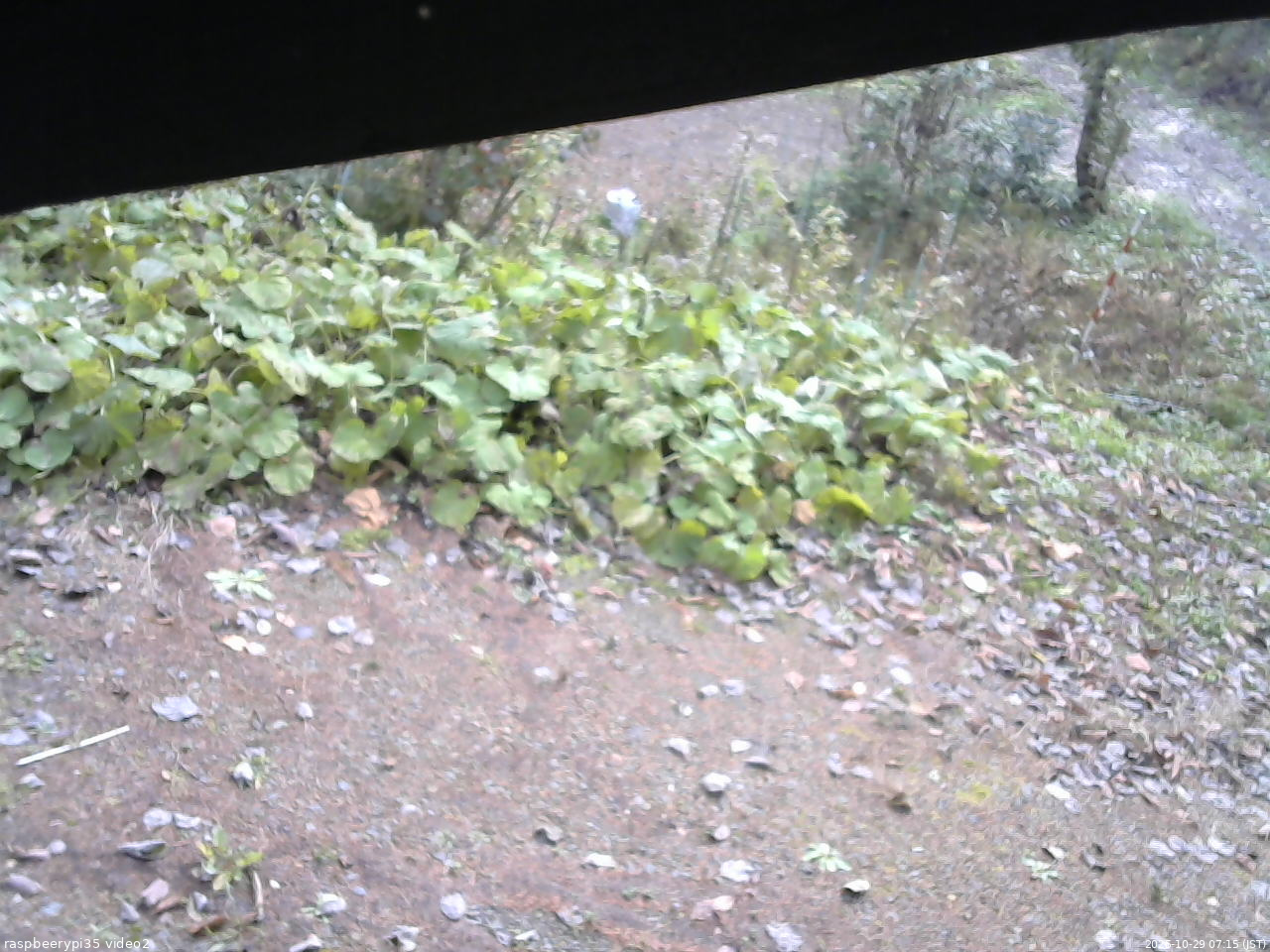 長野県菅平高原 ゆたか山荘 駐車場 2025/10/29 07:15