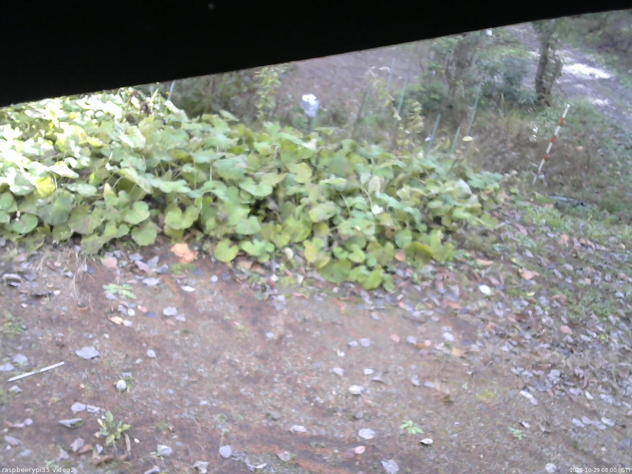 長野県菅平高原 ゆたか山荘 駐車場 2025/10/29 08:00
