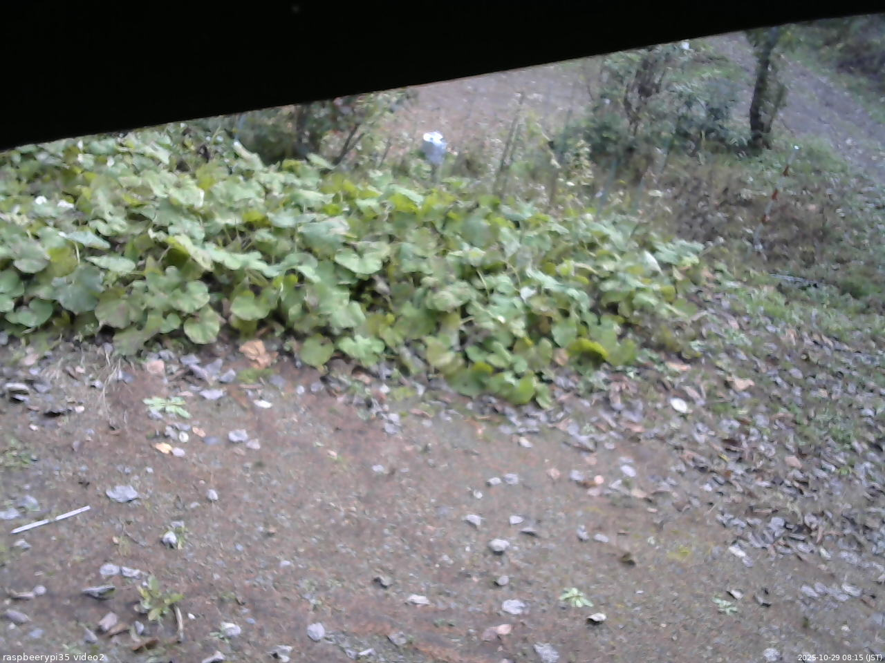 長野県菅平高原 ゆたか山荘 駐車場 2025/10/29 08:15