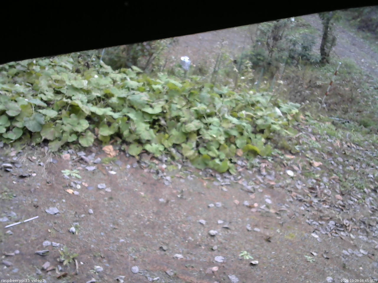 長野県菅平高原 ゆたか山荘 駐車場 2025/10/29 08:45