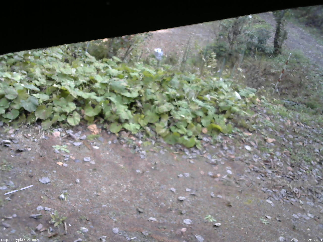 長野県菅平高原 ゆたか山荘 駐車場 2025/10/29 09:30
