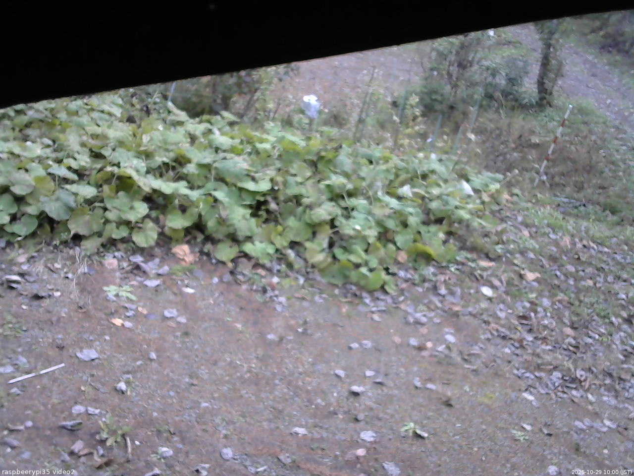 長野県菅平高原 ゆたか山荘 駐車場 2025/10/29 10:00