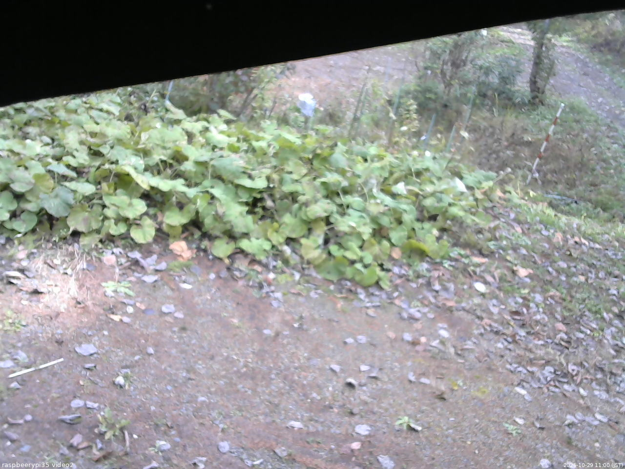 長野県菅平高原 ゆたか山荘 駐車場 2025/10/29 11:00