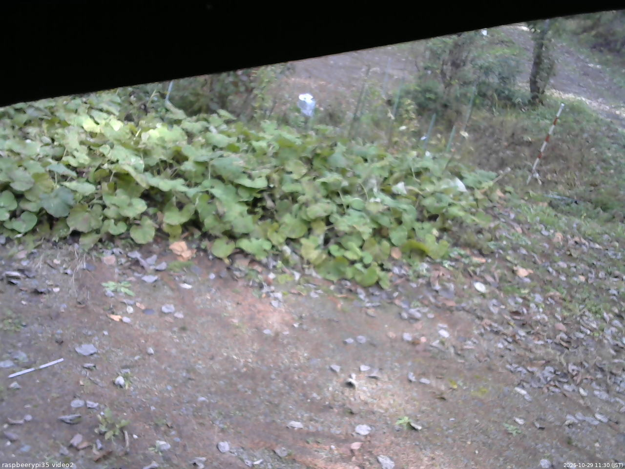 長野県菅平高原 ゆたか山荘 駐車場 2025/10/29 11:30